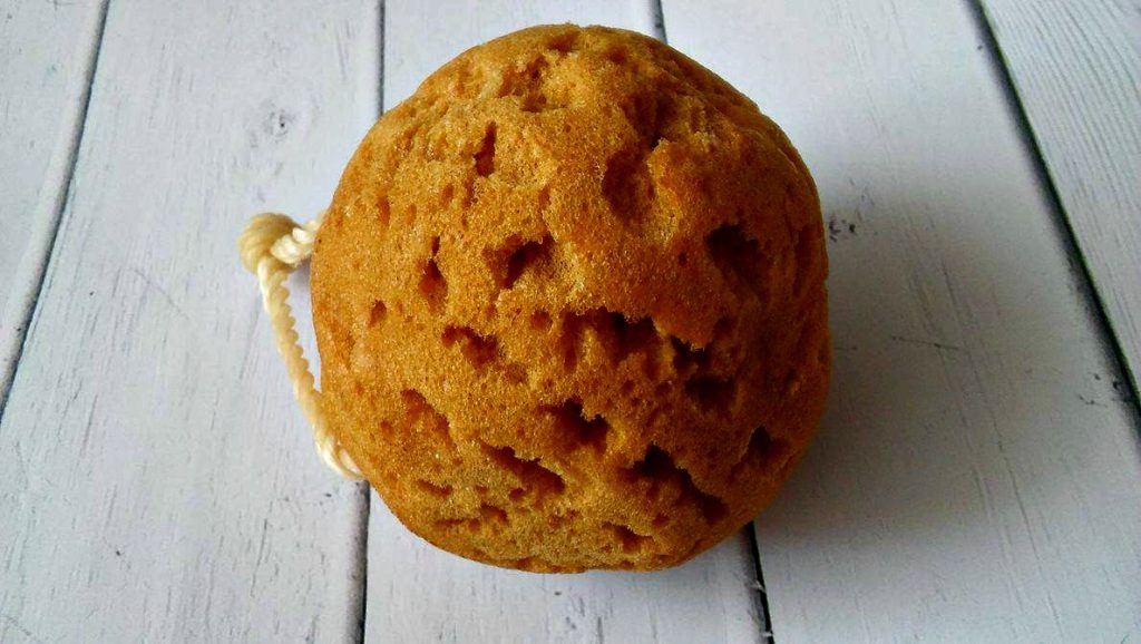 Natural Sponges in Everyday Beauty Care Routine Which One to Buy